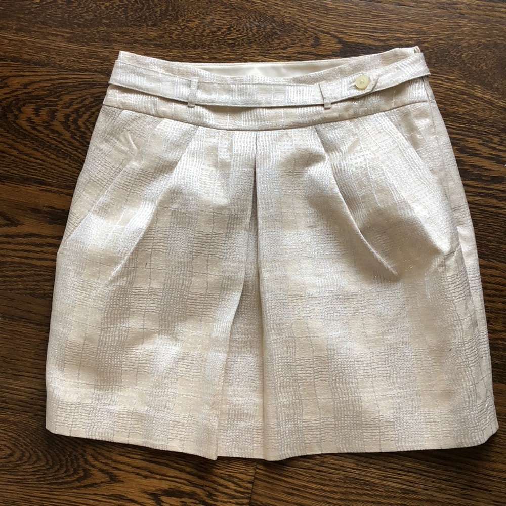 Club Monaco metallic Skirt